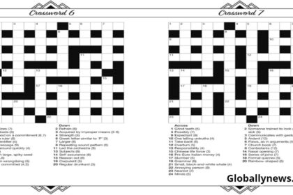 German Article Crossword Clue