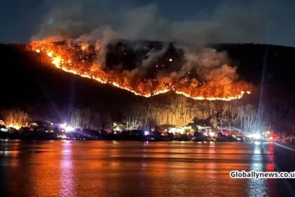 New York Wildfire Forces