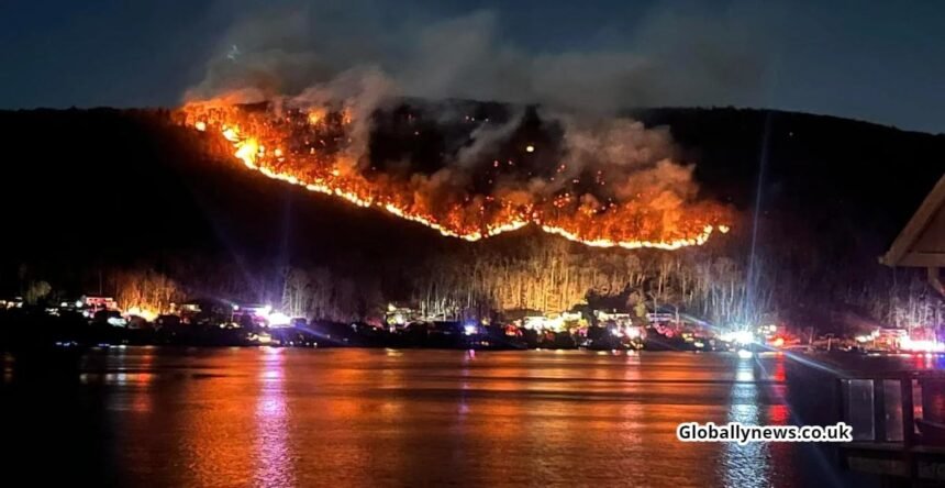 New York Wildfire Forces